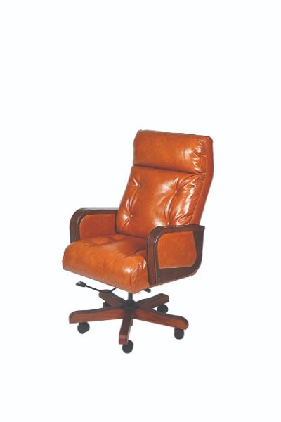 director chair for office