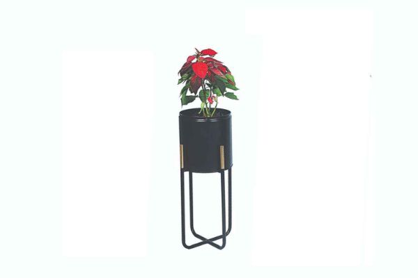 director chair for office