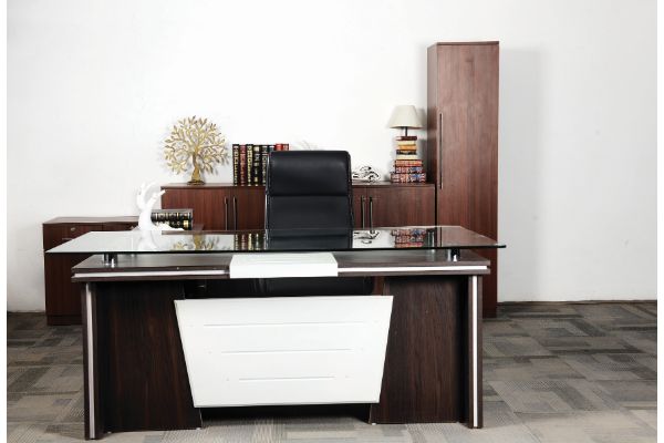 ergonomic director chair